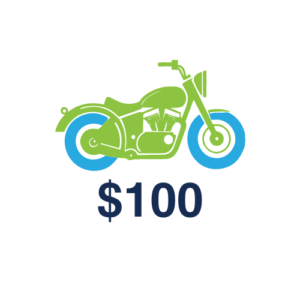 Flat Stanley Rides $100