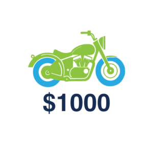 Flat Stanley Rides $1000